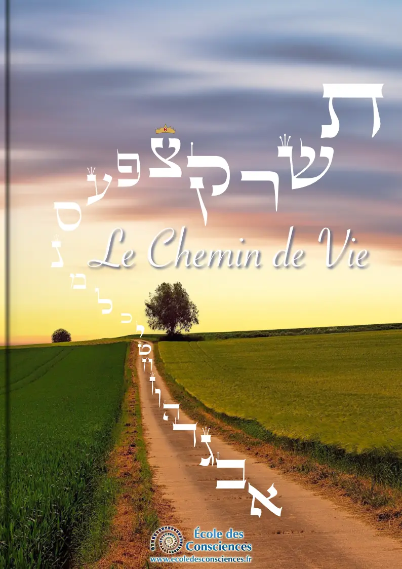 Chemin de Vie