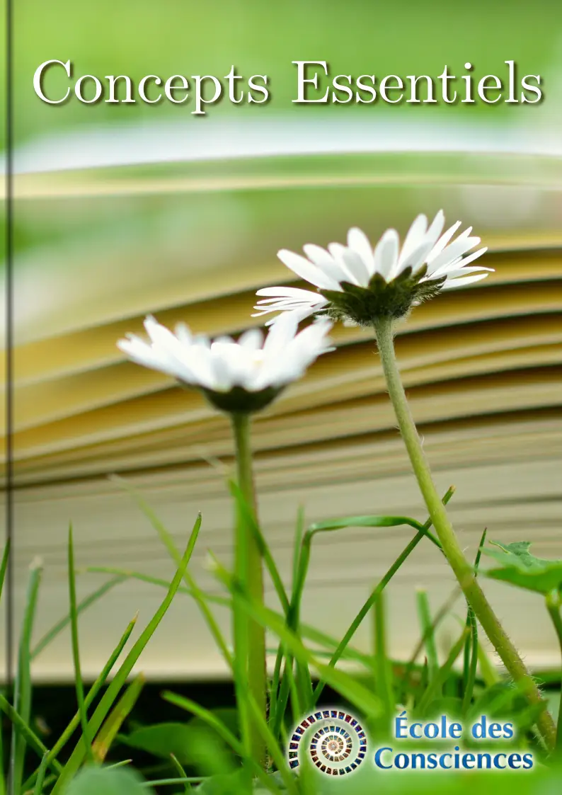Concepts Essentiels